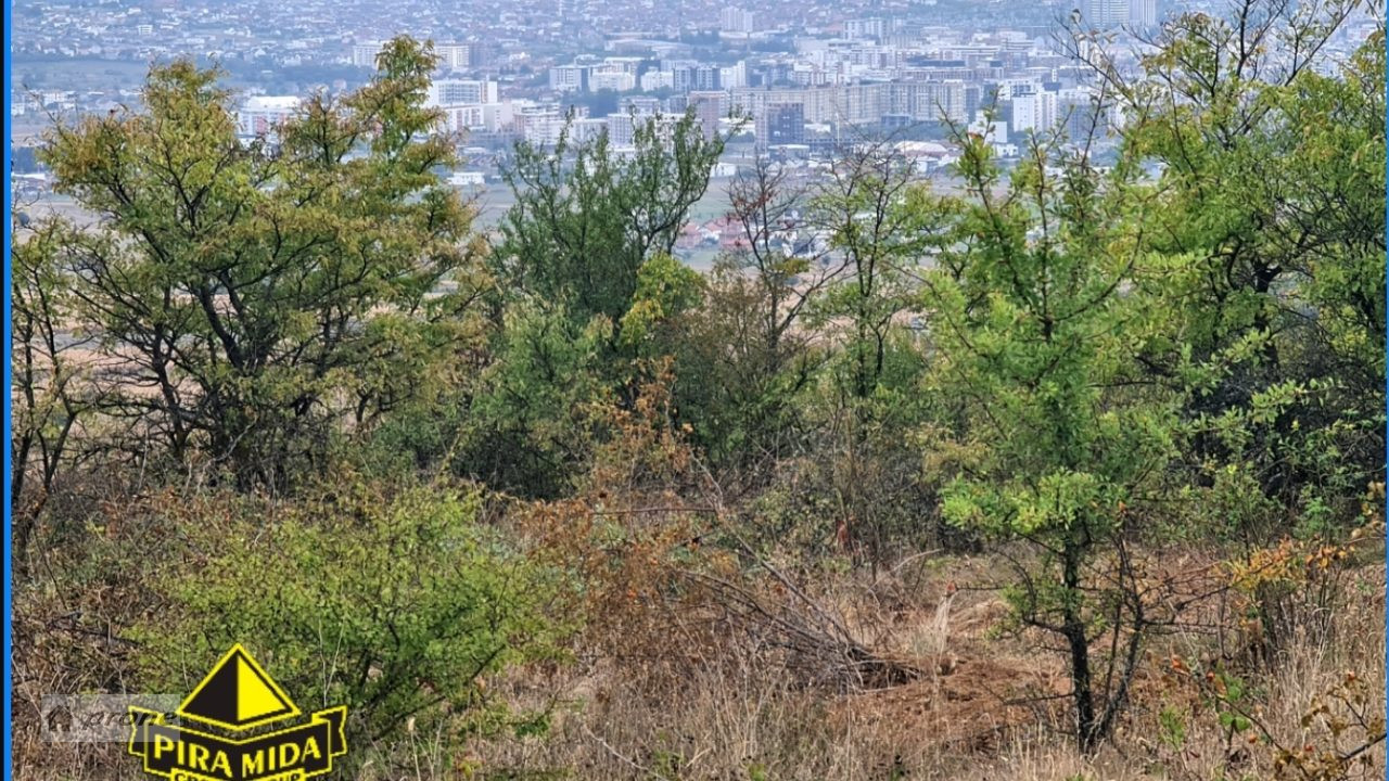 Shiten trojet ka 5, 7, 10 ari në Kufcë të Epërme Gjilan Kosovë